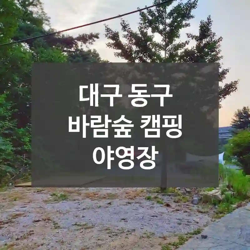대구 동구
바람숲 캠핑 야영장