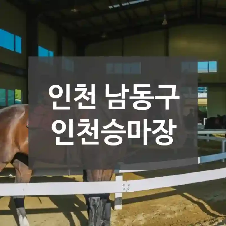 인천 남동구
인천승마장