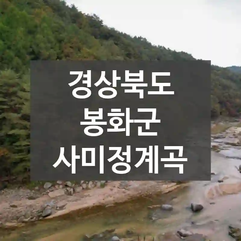 경상북도 봉화군
사미정계곡
