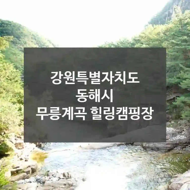 강원특별자치도 동해시
무릉계곡 힐링캠핑장