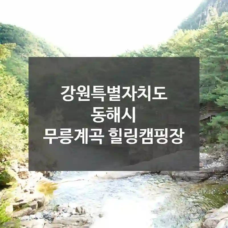 강원특별자치도 동해시
무릉계곡 힐링캠핑장