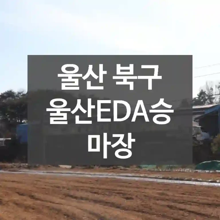 울산 북구
울산EDA승마장