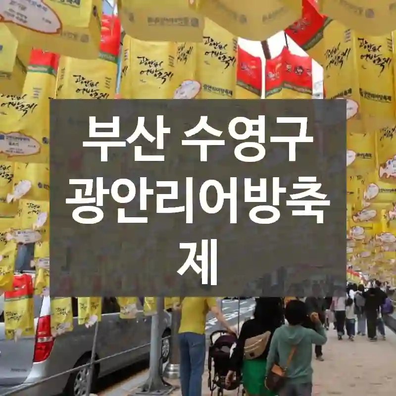 부산 수영구
광안리어방축제