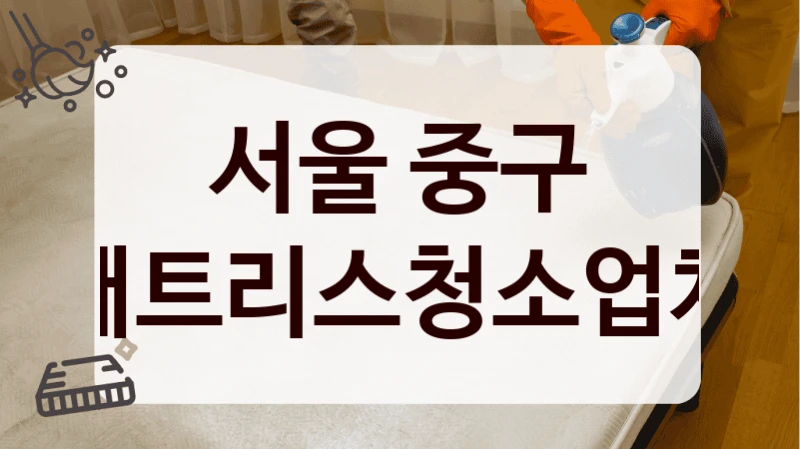 서울 중구 매트리스청소업체