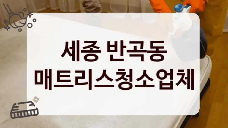세종 반곡동 매트리스청소업체