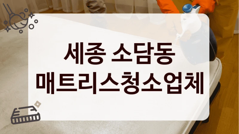 세종 소담동 매트리스청소업체