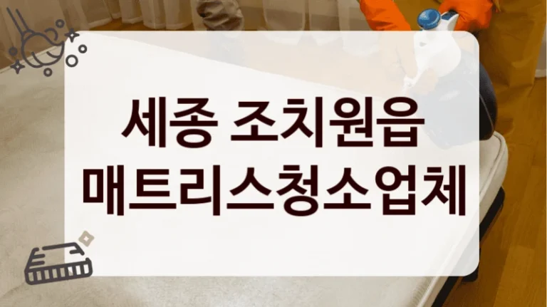 세종 조치원읍 매트리스청소업체