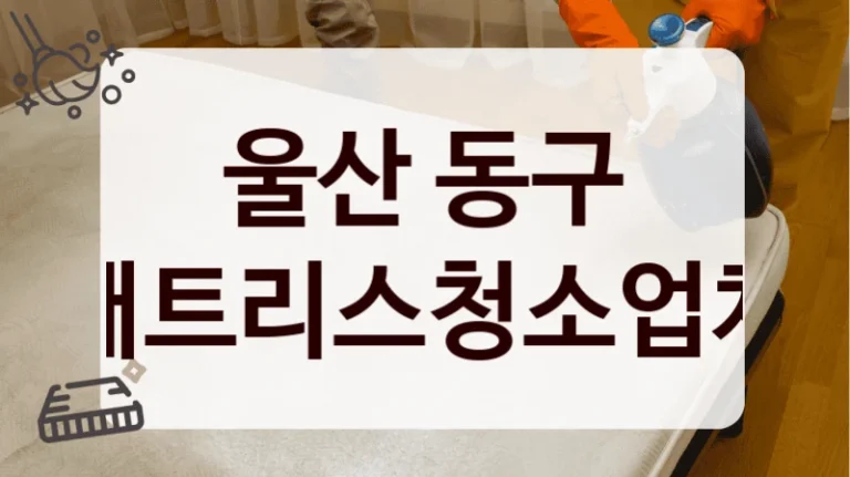 울산 동구 매트리스청소업체