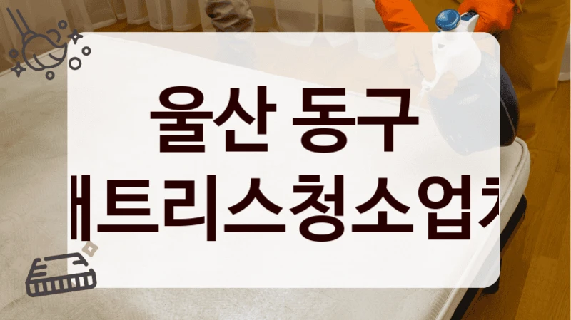 울산 동구 매트리스청소업체