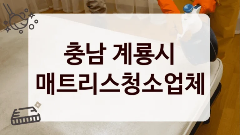 충남 계룡시 매트리스청소업체