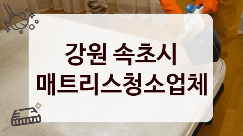 강원 속초시 매트리스청소업체