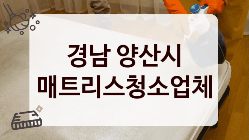 경남 양산시 매트리스청소업체