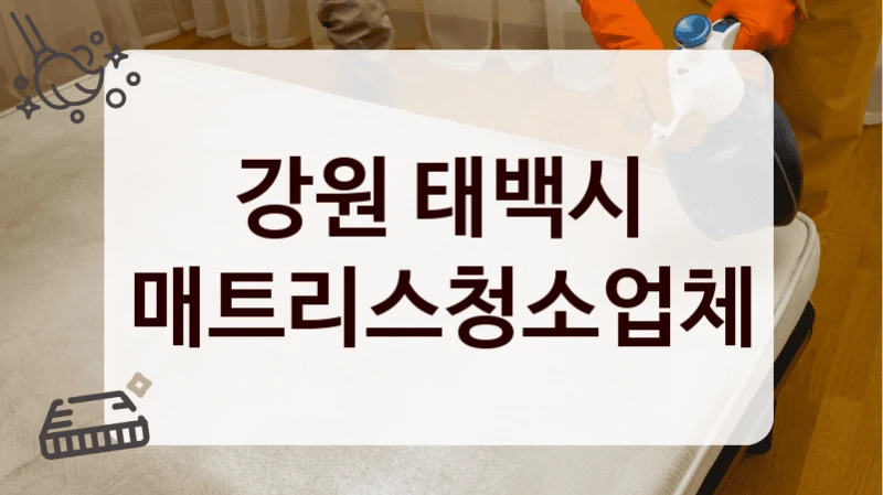 강원 태백시 매트리스청소업체