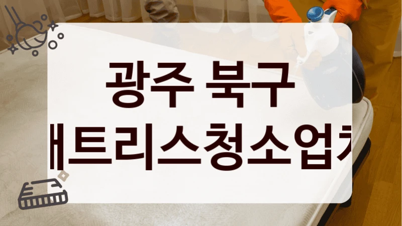 광주 북구 매트리스청소업체