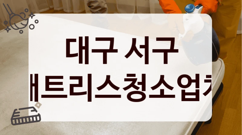 대구 서구 매트리스청소업체