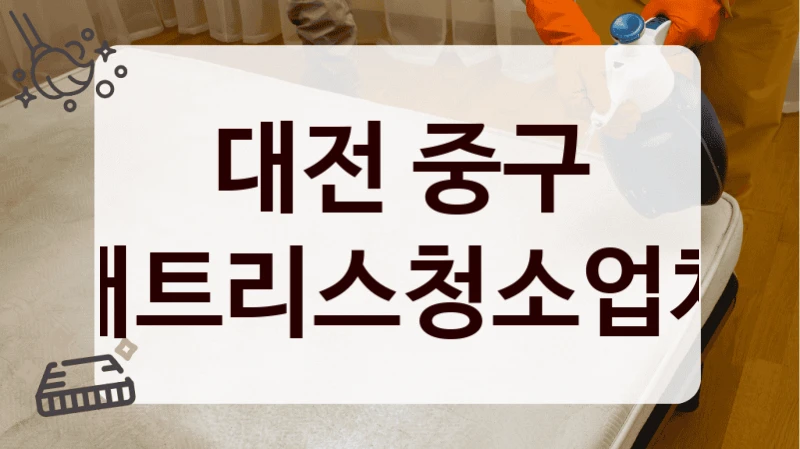 대전 중구 매트리스청소업체